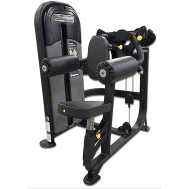 Seated Lateral Raise